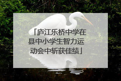 庐江乐桥中学在县中小学生智力运动会中斩获佳绩